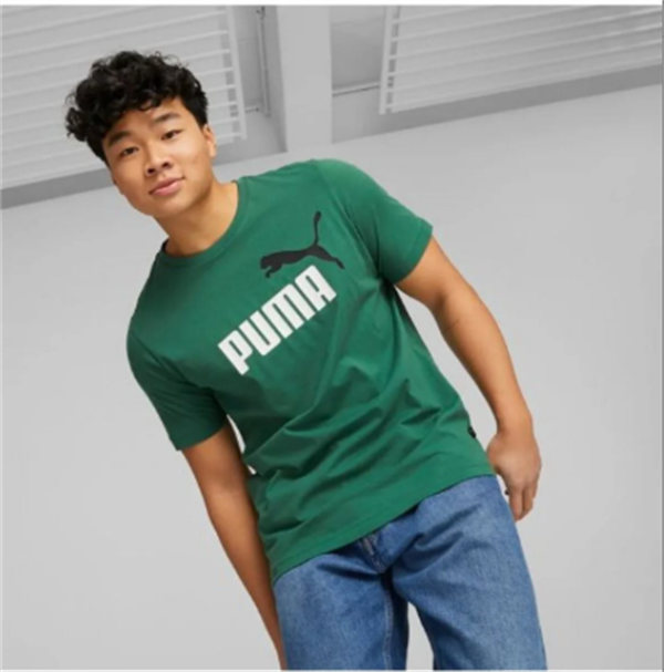Puma Ess+ 2 Col Logo Tee Vine Erkek T-Shirt 58675937